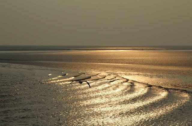 Dune Bep Schiermonnikoog Bagian luar foto